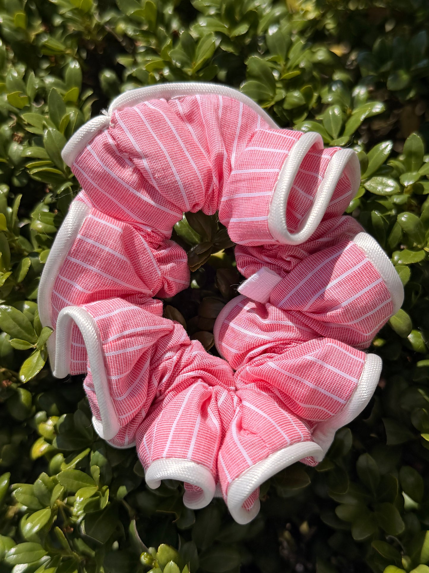 Rosea