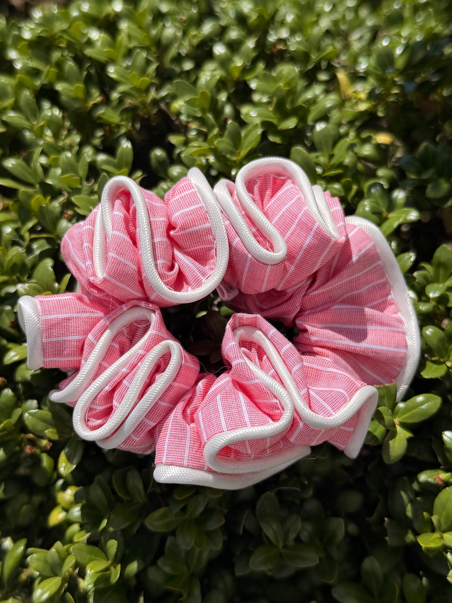 Rosea