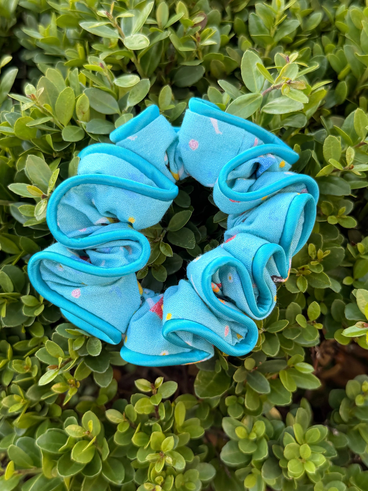 Calypso