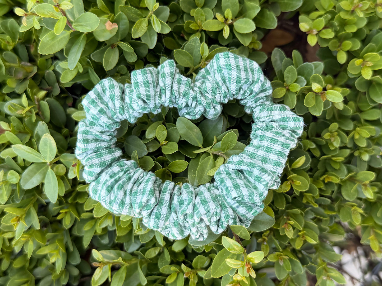 Vichy vert