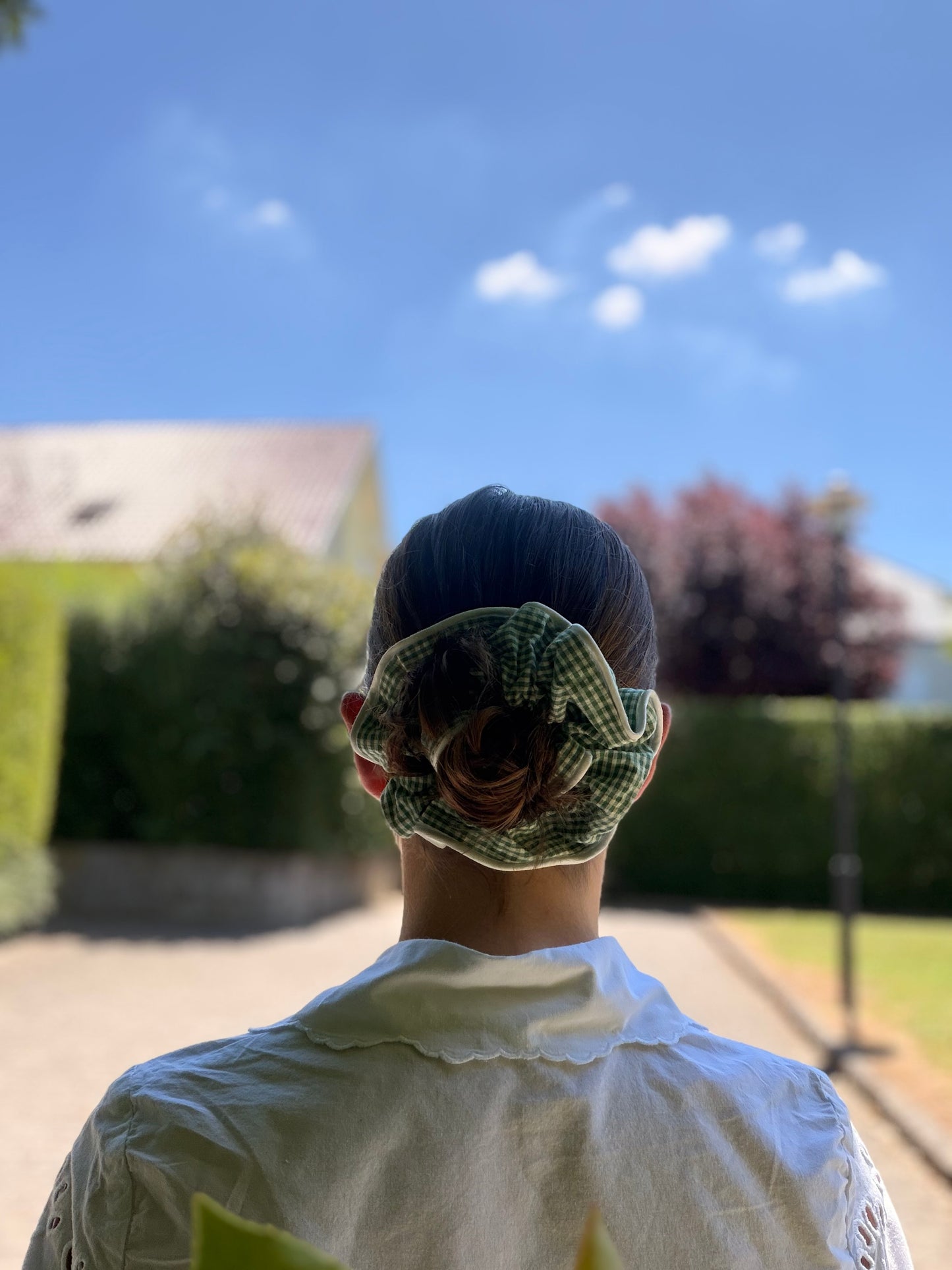 Vichy vert